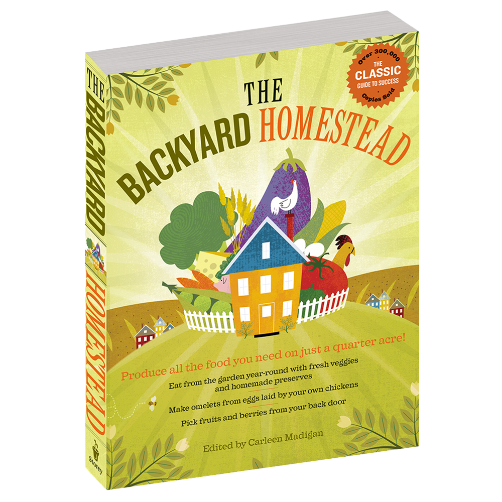 Cover of a home and garden how-to book titled Backyard Homestead, featuring colorful illustrations of vegetables, a chicken, and a small house, part of best sellers in toys, books & games.