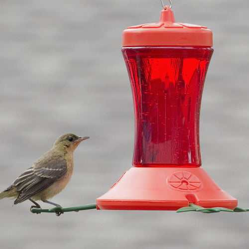 Handcrafted oriole feeder with three feeding ports and patented bee guards, featuring a no-drip design and reversing funnel cap, perfect for Farm, Garden & Tool and Animal Care collections.