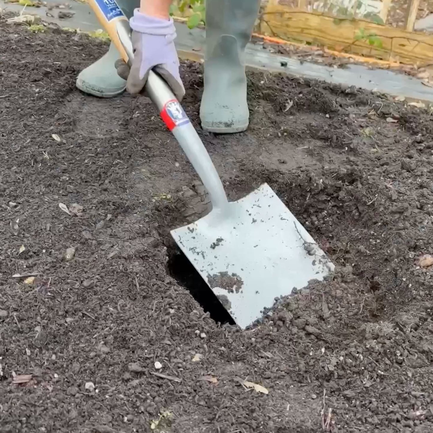 Person wearing gloves and green rubber boots using a heavy-duty spade with a forged carbon steel head to dig into dark garden soil, suited for Farm, Garden & Tool, Digging and Cultivating, Lawncare, Best Sellers, and Promo Eligible collections.