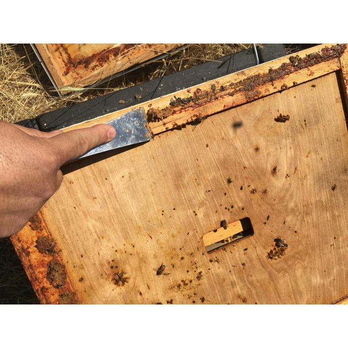 Hand using a metal beekeeping tool with an angled edge to scrape wax and debris from a wooden hive frame, featured in Farm, Garden & Tool and Beekeeping Supplies collections.