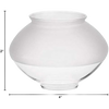 Clear replacement Pyrex globe with a unique rounded shape designed for gas lights, suitable for lamps and lighting, featured in Lamps & Lighting, Gas Lights, Best Sellers, and Promo Eligible collections.