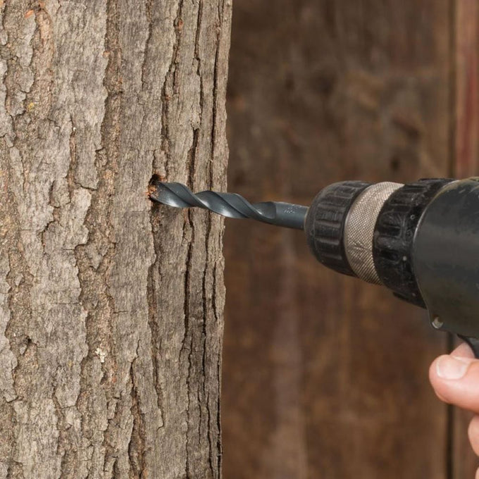 Handcrafted 7/16" tapping bit with 3/8" shank drilling a precise hole in maple tree bark, designed for use in Farm, Garden & Tool, Orchard and Grove, and Maple Syrup Sugaring Supplies collections.