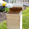 Handcrafted Amish-made 8-frame beehive kit with natural wood finish, shown outdoors near garden beds, part of farm, garden, and beekeeping supplies collections.