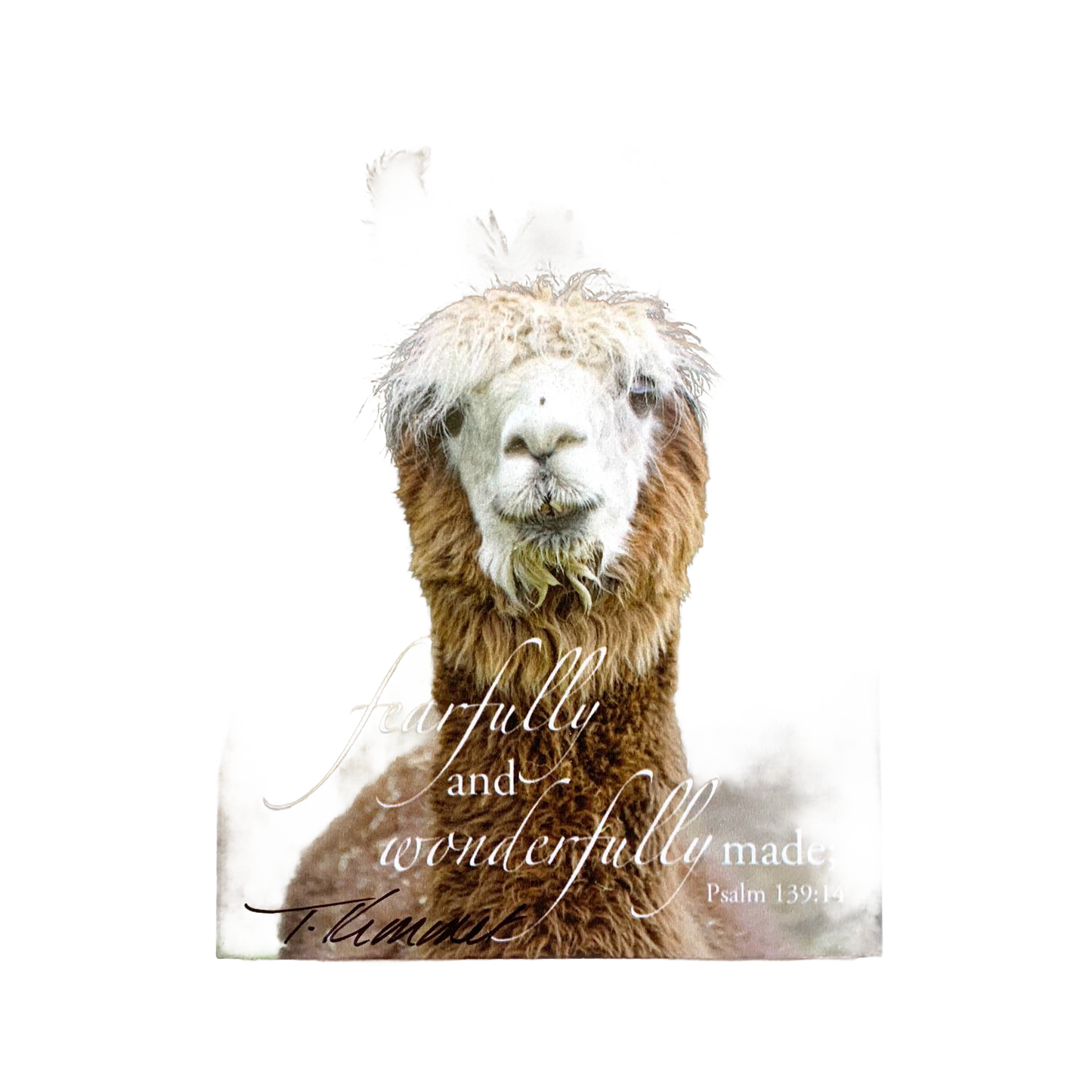 Handcrafted 5"x7" plaque featuring a close-up of a fluffy llama with the inspirational Bible verse “fearfully and wonderfully made” from Psalm 139:14, ideal for Home & Decor, Best Sellers, and Promo Eligible collections.