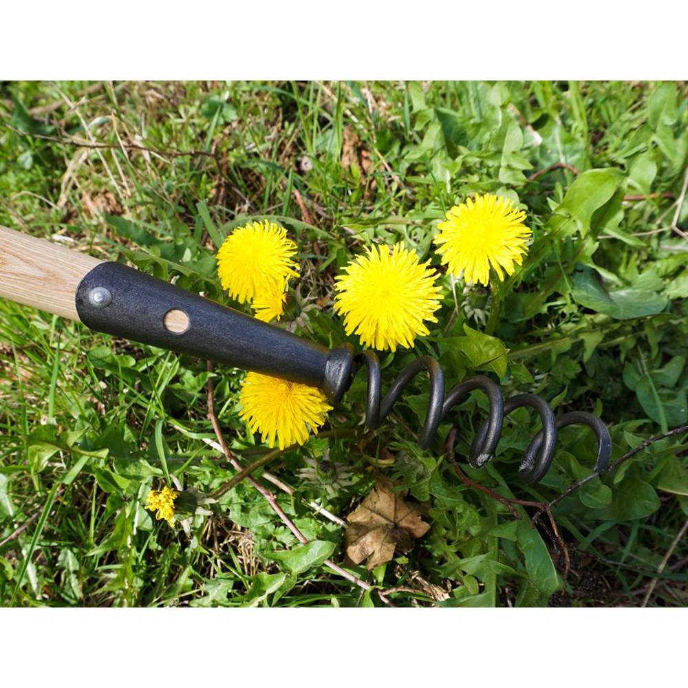 Traditional hand-forged corkscrew weeder with a sturdy wooden handle and black spiral blade, designed for effective weed removal in Farm, Garden & Tool and Digging and Cultivating collections.
