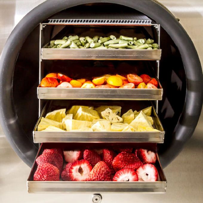 Open stainless steel freeze dryer with multiple trays filled with fresh sliced vegetables and fruits, designed for efficient food preservation, featured in Kitchen & Food, Food Preservation, Freezing, Drying, and Best Sellers collections.