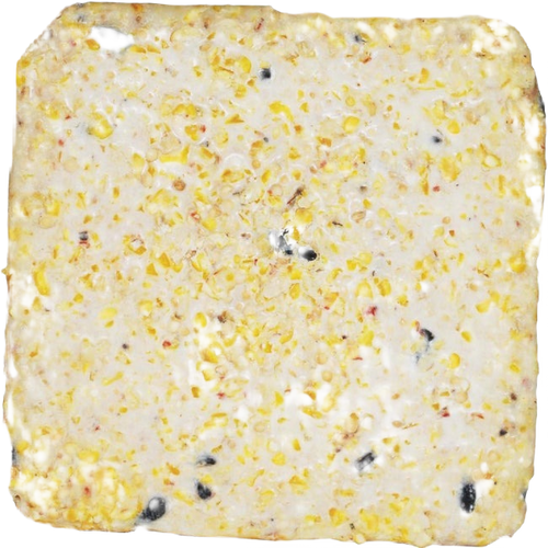 Close-up of a handcrafted suet cake with visible seeds and grains, designed to attract wild birds year-round, featured in Farm, Garden & Tool and Animal Care collections.