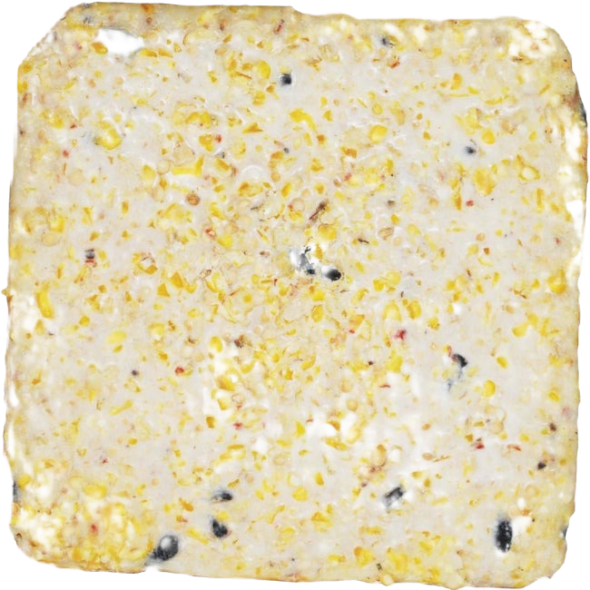 Close-up of a handcrafted suet cake with visible seeds and grains, designed to attract wild birds year-round, featured in Farm, Garden & Tool and Animal Care collections.
