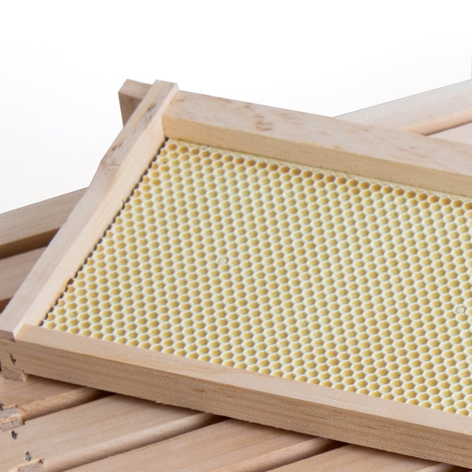 Handcrafted medium wood bee frame with heavy waxed plastic foundation, durable and ready to fit 5, 8, or 10-frame hives, part of USA Made, Amish Made, and Beekeeping Supplies collections.