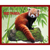 Illustration of a red panda sitting on a moss-covered log with bamboo leaves in the background, featured in Toys, Books & Games and Children's Toys collections.
