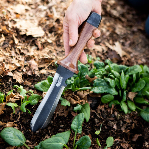 Hand gripping a sturdy hori hori garden knife with a serrated hardened steel blade and wooden handle, digging in soil among green leafy plants, ideal for Farm, Garden & Tool and Digging and Cultivating collections.