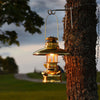 Brass lantern suspended from a metal tree lantern hanger attached to a tree, illuminating an outdoor scene at dusk, suitable for camping and emergency lighting collections.