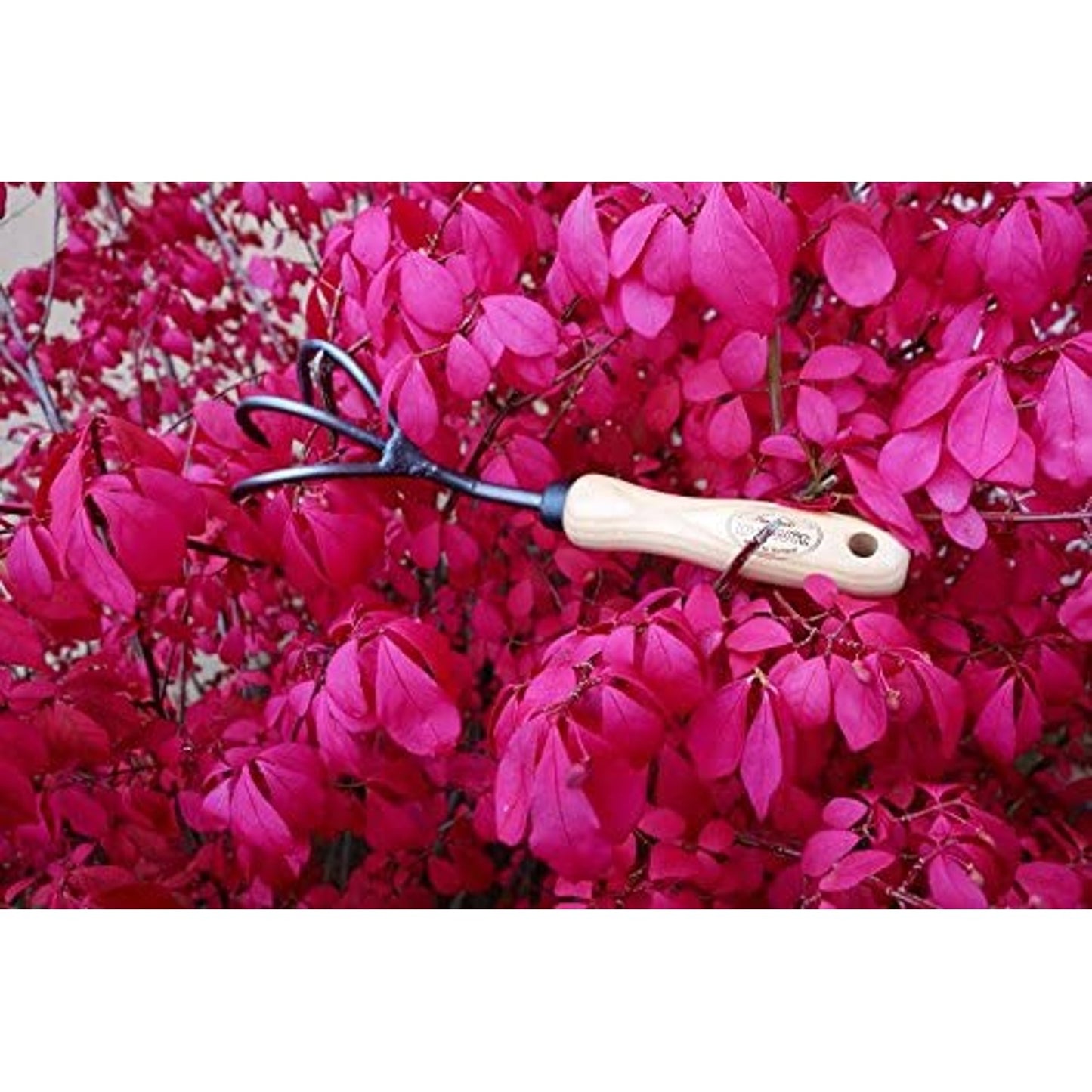 Handcrafted garden cultivator with three curved black tines and smooth wooden handle resting among vibrant magenta leaves, ideal for Farm, Garden & Tool and Digging and Cultivating collections.
