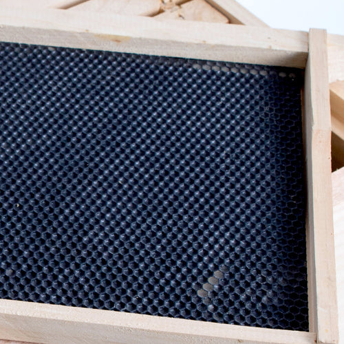 Handcrafted Amish made deep wood bee frame with heavy waxed plastic foundation, durable and pre-assembled for 5, 8, and 10-frame beekeeping hives, part of USA Made and Beekeeping Supplies collections.