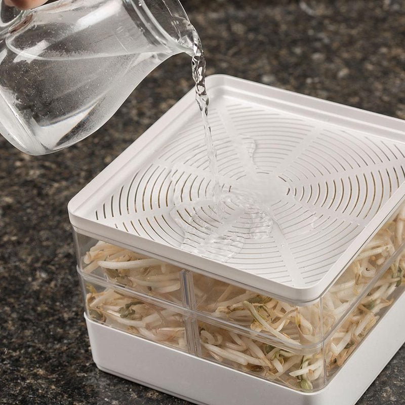 Water being poured into a clear, two-tiered seed sprouter with removable dividers, designed for growing fresh sprouts indoors, featured in Farm, Garden & Tool and USA Made collections.
