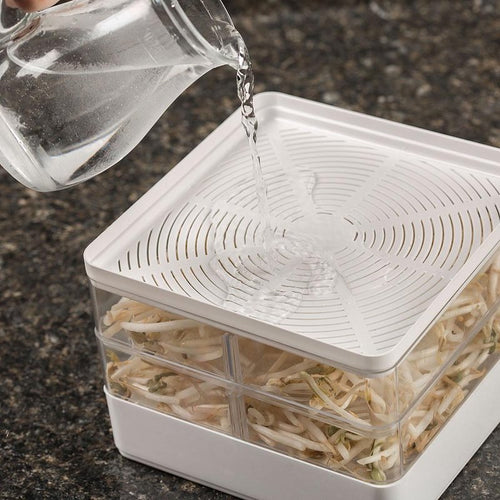 Water being poured into a clear, two-tiered seed sprouter with removable dividers, designed for growing fresh sprouts indoors, featured in Farm, Garden & Tool and USA Made collections.