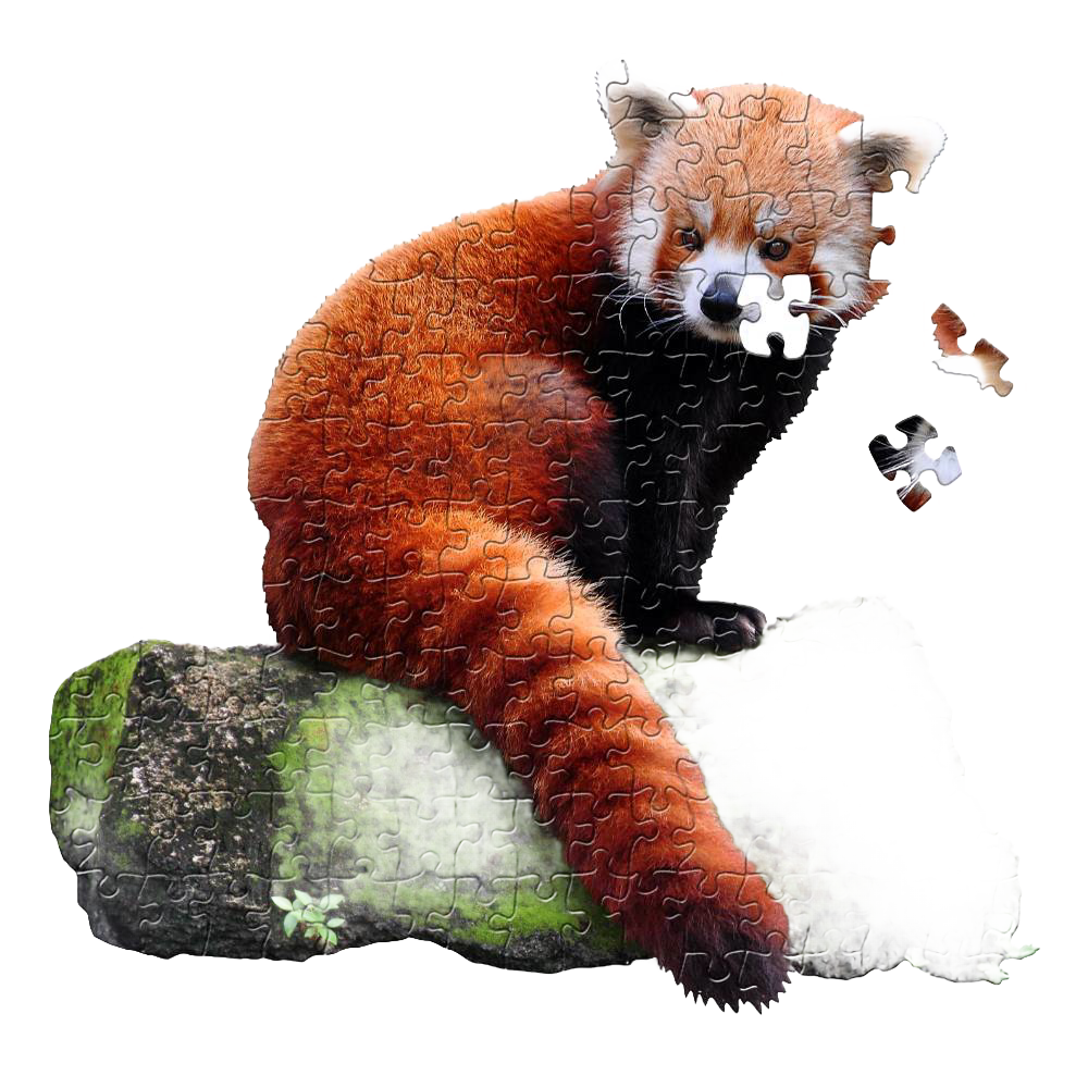 Partially completed 100-piece red panda shaped puzzle with large pieces fitting together on a mossy log, designed for children's toys, puzzles, and educational games collections.