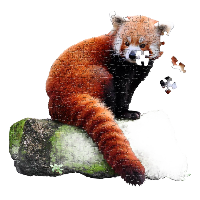 Partially completed 100-piece red panda shaped puzzle with large pieces fitting together on a mossy log, designed for children's toys, puzzles, and educational games collections.