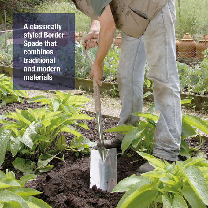 Stainless steel border spade with a wooden handle being used to dig soil between plants in a garden bed, ideal for Farm, Garden & Tool and Digging and Cultivating collections.