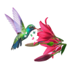 Unique-shaped 300-piece puzzle piece set featuring a colorful hummingbird feeding from a vibrant pink flower, perfect for Toys, Books & Games and Best Sellers collections.