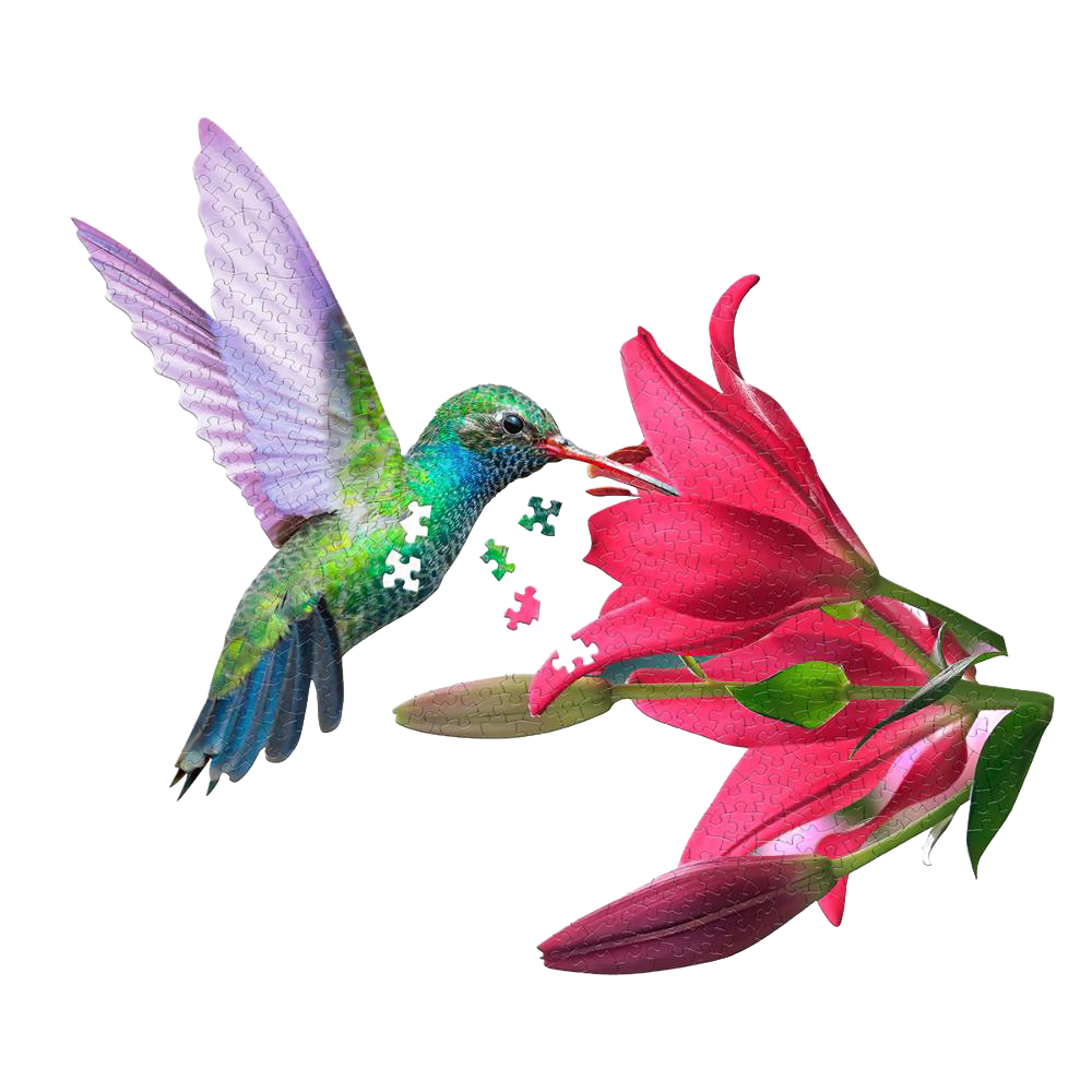 Unique-shaped 300-piece puzzle piece set featuring a colorful hummingbird feeding from a vibrant pink flower, perfect for Toys, Books & Games and Best Sellers collections.