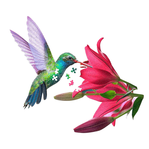 Unique-shaped 300-piece puzzle piece set featuring a colorful hummingbird feeding from a vibrant pink flower, perfect for Toys, Books & Games and Best Sellers collections.