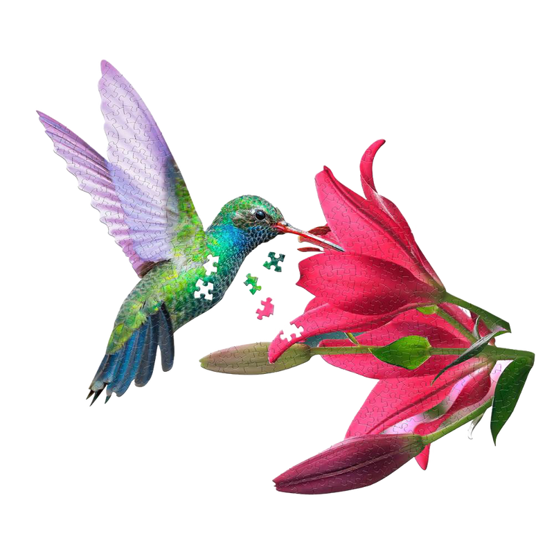 Unique-shaped 300-piece puzzle piece set featuring a colorful hummingbird feeding from a vibrant pink flower, perfect for Toys, Books & Games and Best Sellers collections.
