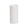 Cylindrical white replacement sediment filter cartridge designed for use with water treatment and emergency supply systems in farm, garden, and appliance applications.