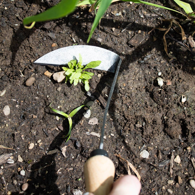 Close-up of a durable double-sided metal blade with a curved edge and smooth wooden handle, designed for loosening soil and removing weeds, shown in Farm, Garden & Tool, Garden Accessories, Best Sellers, Promo Eligible collections.