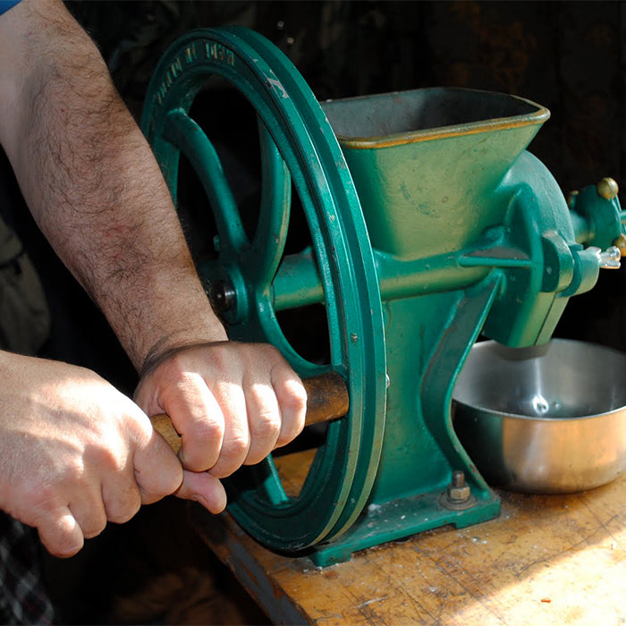 Person using a heavy-duty cast iron grain mill with a green finish and wooden handle on a wooden table, ideal for Kitchen & Food, Baking Supplies, and Grain Mills collections.