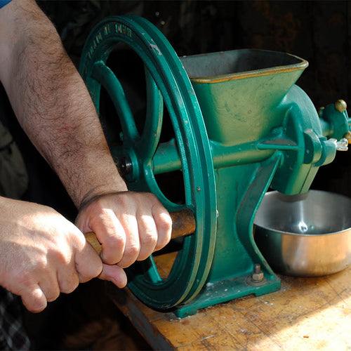 Person using a heavy-duty cast iron grain mill with a green finish and wooden handle on a wooden table, ideal for Kitchen & Food, Baking Supplies, and Grain Mills collections.