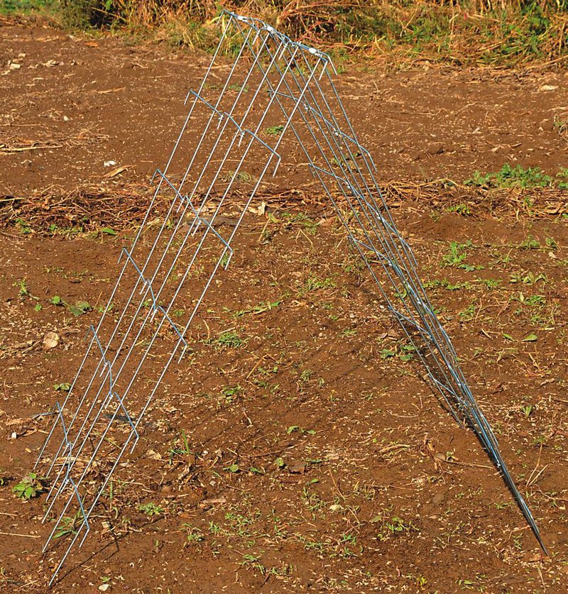 A heavy-duty galvanized steel A-frame garden trellis designed for supporting cucumber and squash vines, ideal for farm, garden, and USA made collections.
