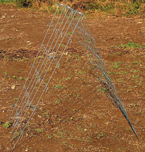 A heavy-duty galvanized steel A-frame garden trellis designed for supporting cucumber and squash vines, ideal for farm, garden, and USA made collections.