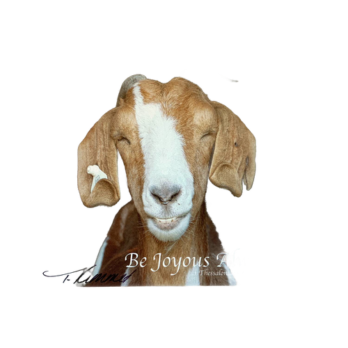 Handcrafted animal magnet featuring a smiling brown and white goat with the uplifting verse "Be Joyous Always" from 1 Thessalonians, perfect for Home & Decor and Best Sellers.