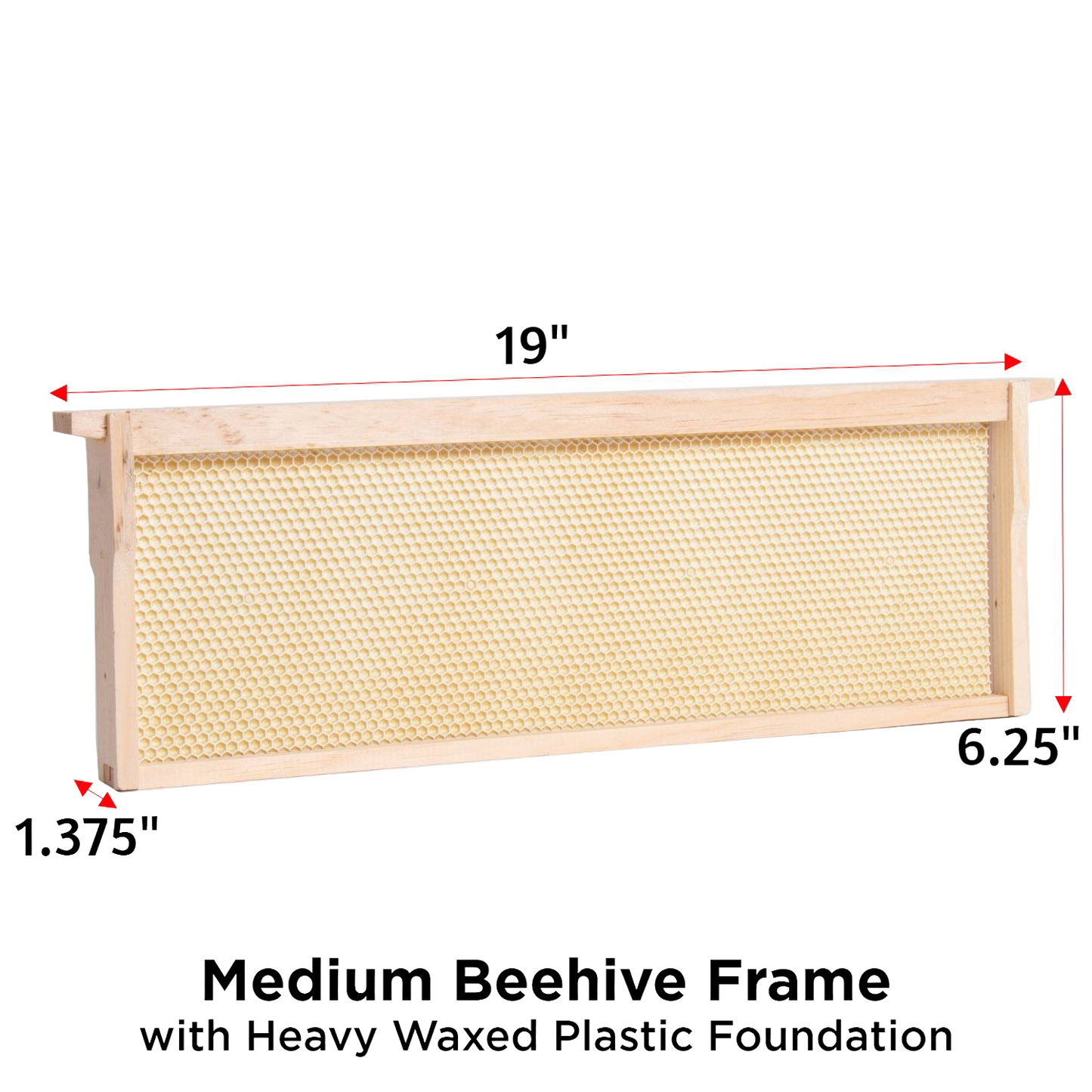 Handcrafted Amish made medium wood bee frame with heavy waxed plastic foundation, durable and assembled for 5-frame, 8-frame, or 10-frame hives in Farm, Garden & Tool and Beekeeping Supplies collections.