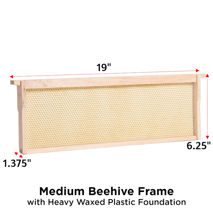 Handcrafted Amish made medium wood bee frame with heavy waxed plastic foundation, durable and assembled for 5-frame, 8-frame, or 10-frame hives in Farm, Garden & Tool and Beekeeping Supplies collections.