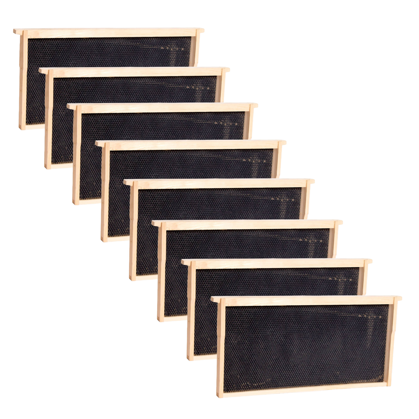 Set of handcrafted deep wood bee frames with heavy waxed plastic foundation, durable and ready for various hive sizes, part of USA Made, Amish Made, and Beekeeping Supplies collections.