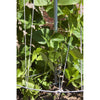 Vertical metal bean tower trellis supporting climbing green bean plants in a garden bed, handcrafted and made in USA, featured in Farm, Garden & Tool, Seeds and Planting, Best Sellers collections.