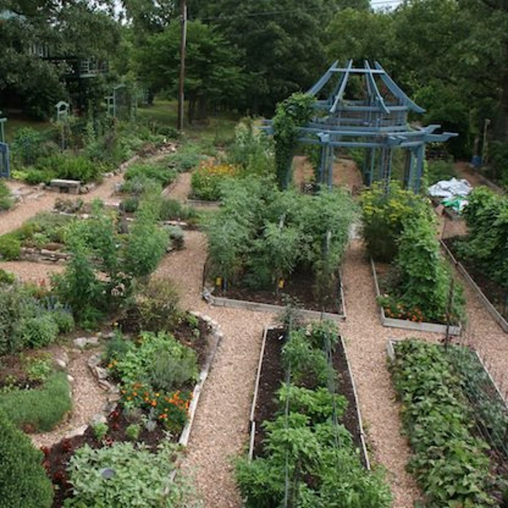 Extensive herb garden with raised wooden beds filled with various plants, surrounded by gravel pathways and featuring a rustic wooden pergola, evoking a health and wellness retreat atmosphere.