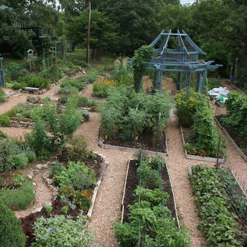 Extensive herb garden with raised wooden beds filled with various plants, surrounded by gravel pathways and featuring a rustic wooden pergola, evoking a health and wellness retreat atmosphere.