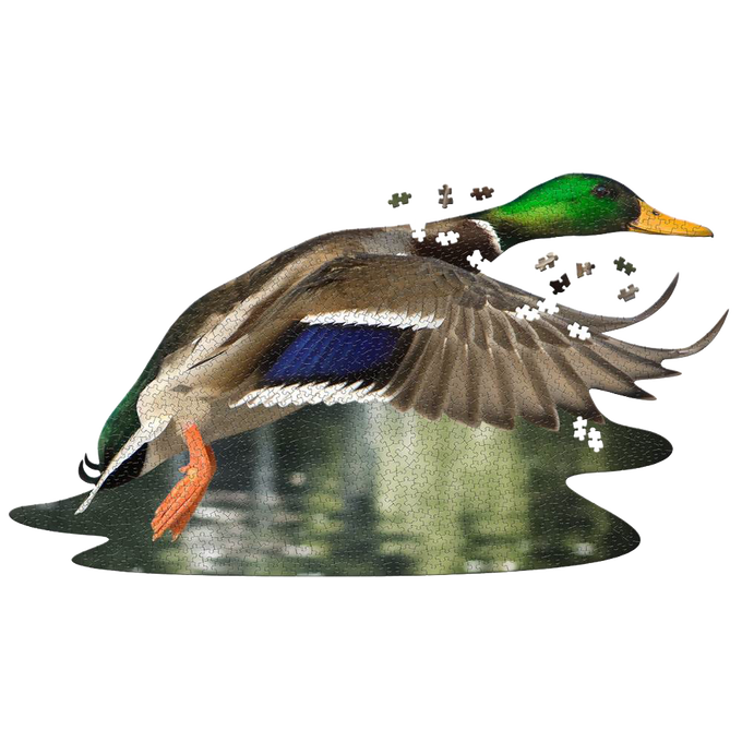 Intricately shaped jigsaw puzzle depicting a flying duck with vibrant green, blue, and brown feathers, designed to challenge puzzle enthusiasts in Toys, Books & Games collections.