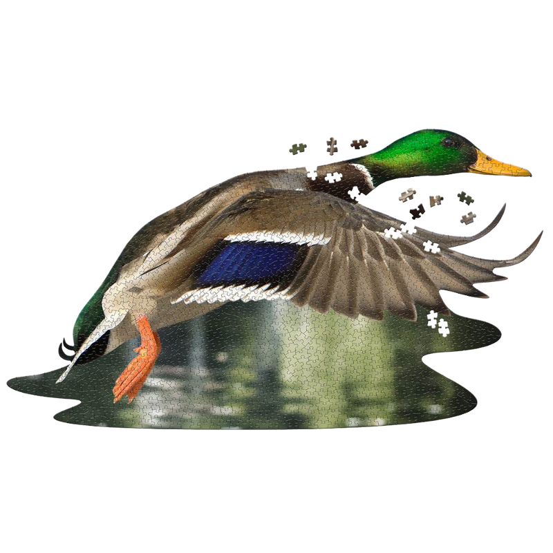 Intricately shaped jigsaw puzzle depicting a flying duck with vibrant green, blue, and brown feathers, designed to challenge puzzle enthusiasts in Toys, Books & Games collections.