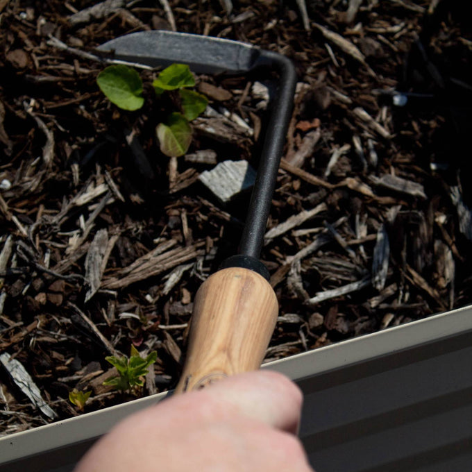Handcrafted DeWit Cape Cod weeder with a smooth short wooden handle and durable steel blade, ideal for removing weeds precisely in small garden spaces, featured in Farm, Garden & Tool, Digging and Cultivating, Garden Accessories, Best Sellers, and Promo Eligible collections.
