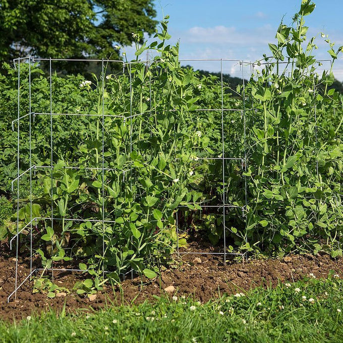 Set of two handcrafted garden fences with six hinged panels each, made in USA, providing sturdy support for pea plants and straw bale gardens, featured in Farm, Garden & Tool collections.