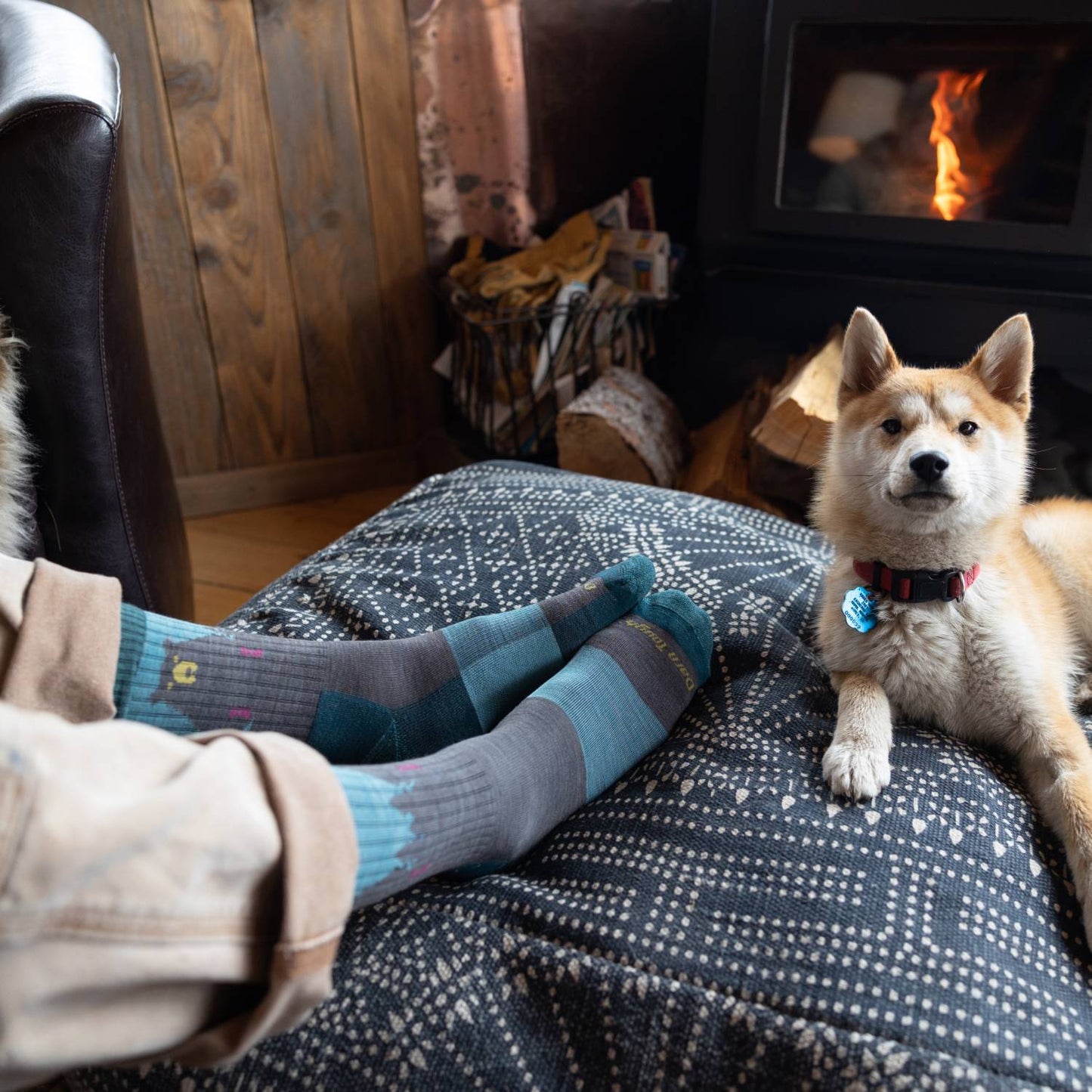 Cozy scene showing legs wearing women's micro crew socks with bear motifs resting on a patterned ottoman beside a calm dog near a wood-burning stove, fitting Health & Wellness, Camping, Clothing and Accessories, USA Made, and Best Sellers collections.