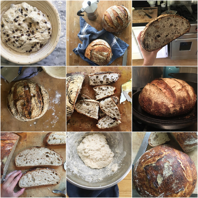Collage of rustic whole grain sourdough dough resting in a basket, freshly baked loaves with golden crusts, sliced bread showing airy crumb, and homemade bread baking scenes for cookbooks and bread making supplies.