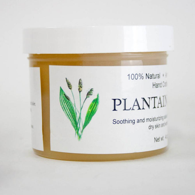 Handcrafted jar of plantain salve with natural soothing ingredients, ideal for Health & Wellness, Health Remedies, USA Made, Amish Made, and Best Sellers collections.