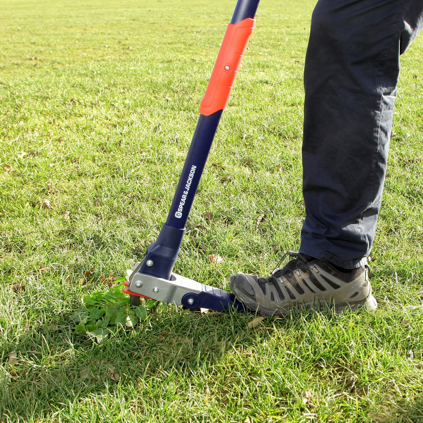 Person using a Spear & Jackson mechanical weed puller with rust-resistant stainless steel claws and long nylon fiberglass handle to remove weeds from a green lawn, featured in Farm, Garden & Tool, Garden Accessories, Lawncare, Best Sellers, and Promo Eligible collections.