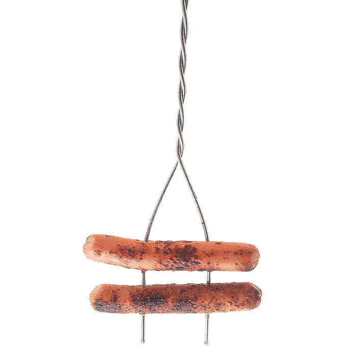 Two grilled hot dogs held by a heavy-duty, two-pronged galvanized steel roasting stick with an extra-long wooden handle, designed for camping and outdoor use.
