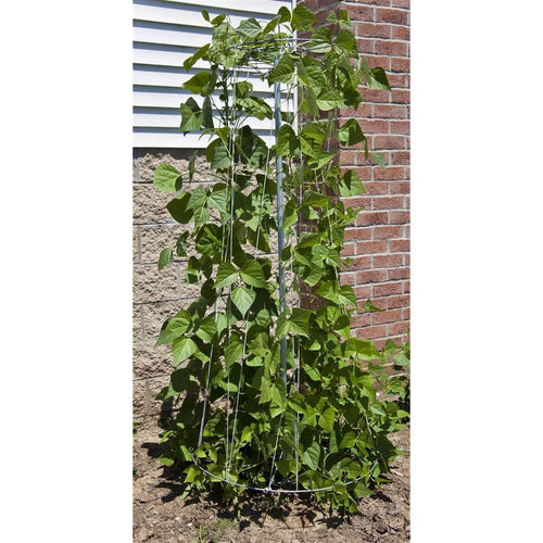 Handcrafted metal garden trellis supporting green pole bean vines growing vertically against a brick and siding wall, ideal for Farm, Garden & Tool, Seeds and Planting, USA Made collections.